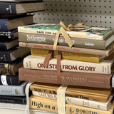 Timeless Treasures Vintage Book Bundle – Neutral Set of 3