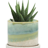 Cement Green Ceramic Plant Pot and Saucer
