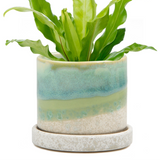 Cement Green Ceramic Plant Pot and Saucer