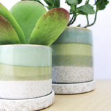 Cement Green Ceramic Plant Pot and Saucer