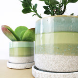 Cement Green Ceramic Plant Pot and Saucer