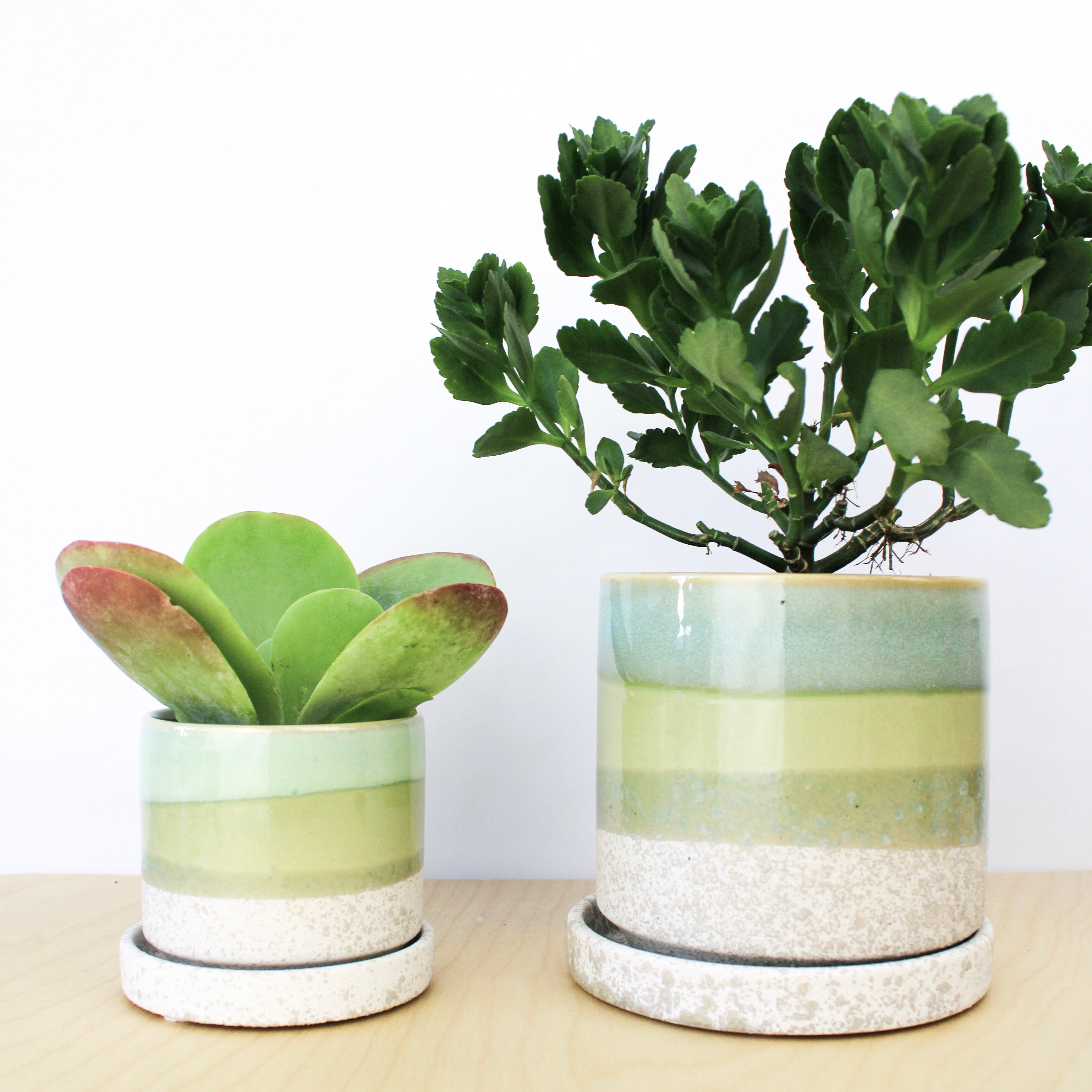 Cement Green Ceramic Plant Pot and Saucer
