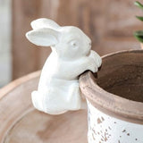 Little Garden Friends – Whimsical Animal Pot Hangers