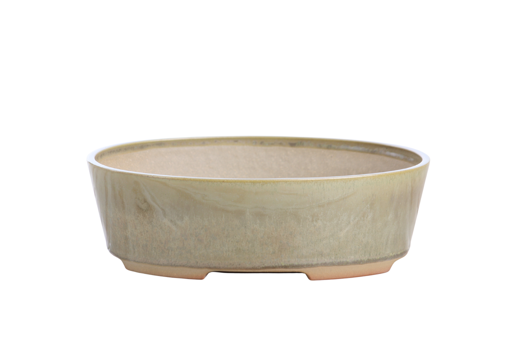 Willow Bonsai Ceramics Oval A Bonsai Pot 8 Inch – Straight‑Sided Oval Ceramic Bonsai & Succulent Planter, High‑Fired Frost‑Proof Stoneware with Drainage & Wiring Holes, Handmade in USA (Copenhagen)