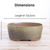 Willow Bonsai Ceramics Oval A Bonsai Pot 6 Inch – Straight‑Sided Oval Ceramic Bonsai & Succulent Planter, High‑Fired Frost‑Proof Stoneware with Drainage & Wiring Holes, Handmade in USA (Copenhagen)
