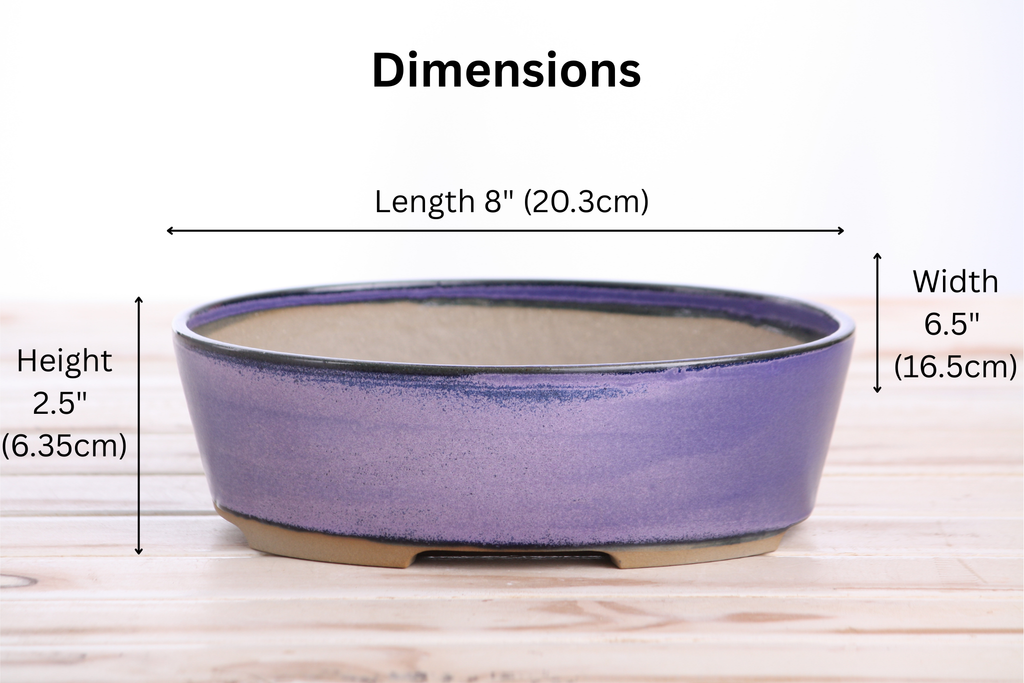 Willow Bonsai Ceramics Oval A Bonsai Pot 8 Inch – Straight‑Sided Oval Ceramic Bonsai & Succulent Planter, High‑Fired Frost‑Proof Stoneware with Drainage & Wiring Holes, Handmade in USA (Purple)