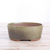 Willow Bonsai Ceramics Oval A Bonsai Pot 6 Inch – Straight‑Sided Oval Ceramic Bonsai & Succulent Planter, High‑Fired Frost‑Proof Stoneware with Drainage & Wiring Holes, Handmade in USA (Copenhagen)