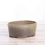 Willow Bonsai Ceramics Oval A Bonsai Pot 6 Inch – Straight‑Sided Oval Ceramic Bonsai & Succulent Planter, High‑Fired Frost‑Proof Stoneware with Drainage & Wiring Holes, Handmade in USA (Copenhagen)