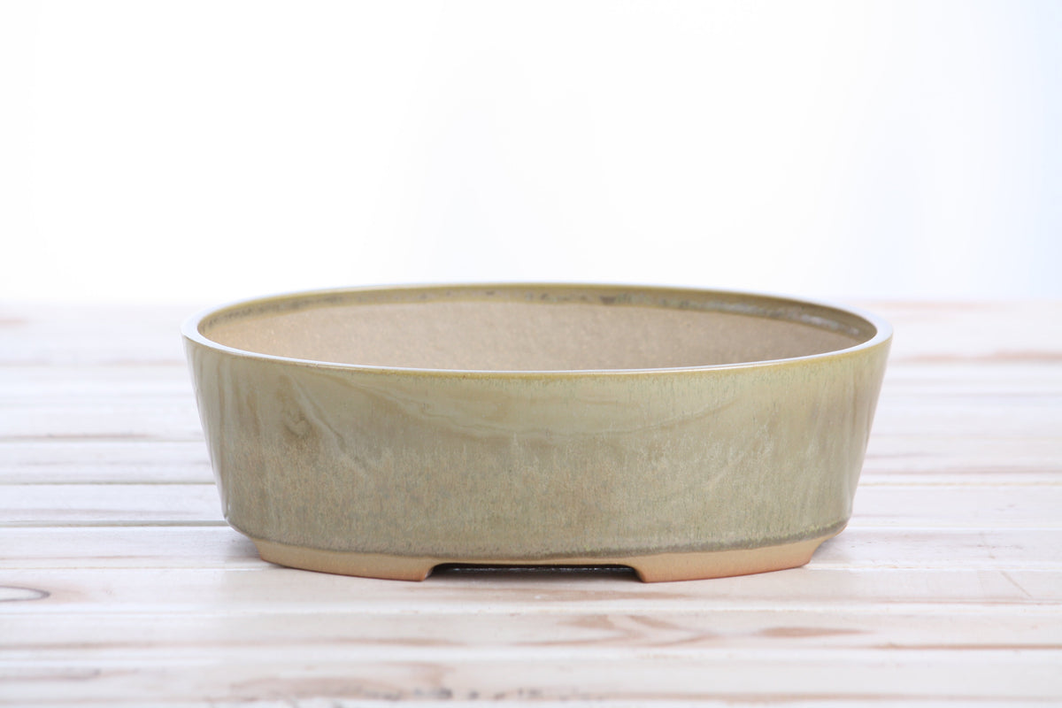 Willow Bonsai Ceramics Oval A Bonsai Pot 8 Inch – Straight‑Sided Oval Ceramic Bonsai & Succulent Planter, High‑Fired Frost‑Proof Stoneware with Drainage & Wiring Holes, Handmade in USA (Copenhagen)