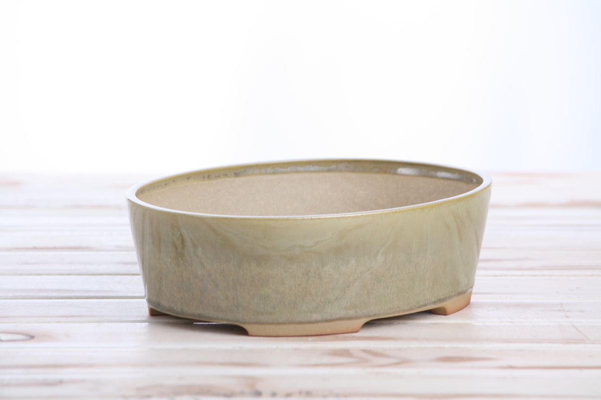 Willow Bonsai Ceramics Oval A Bonsai Pot 8 Inch – Straight‑Sided Oval Ceramic Bonsai & Succulent Planter, High‑Fired Frost‑Proof Stoneware with Drainage & Wiring Holes, Handmade in USA (Copenhagen)