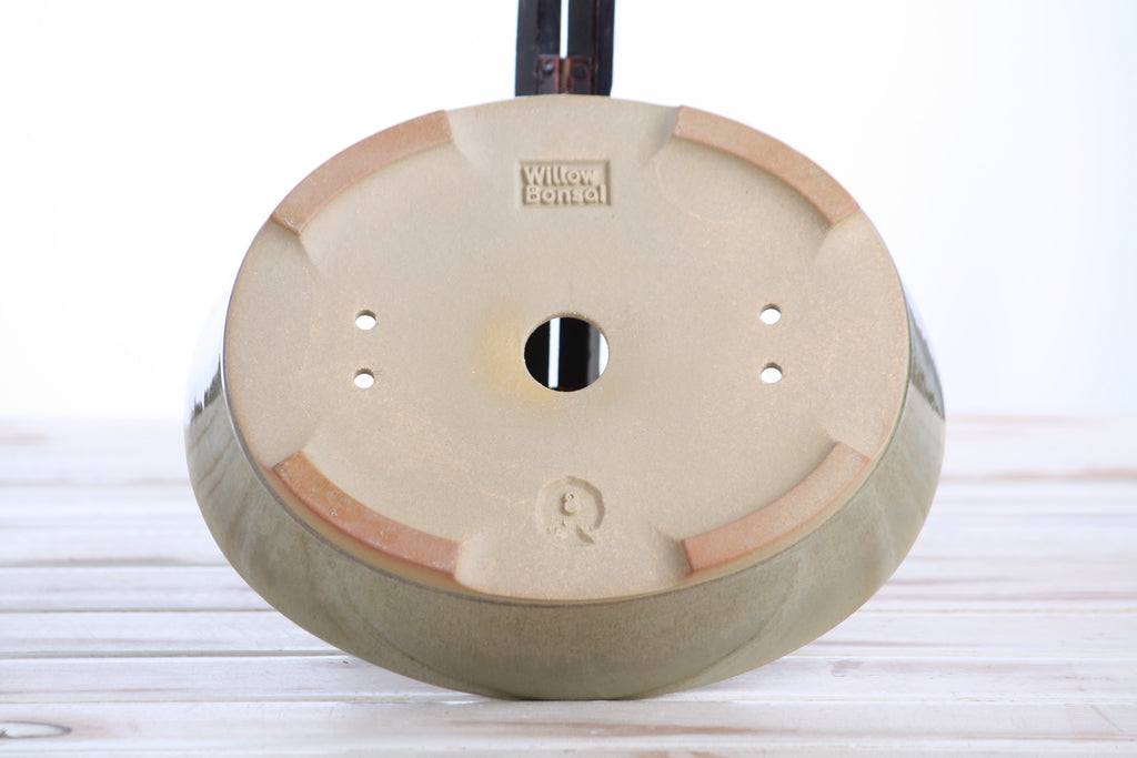 Willow Bonsai Ceramics Oval A Bonsai Pot 8 Inch – Straight‑Sided Oval Ceramic Bonsai & Succulent Planter, High‑Fired Frost‑Proof Stoneware with Drainage & Wiring Holes, Handmade in USA (Copenhagen)