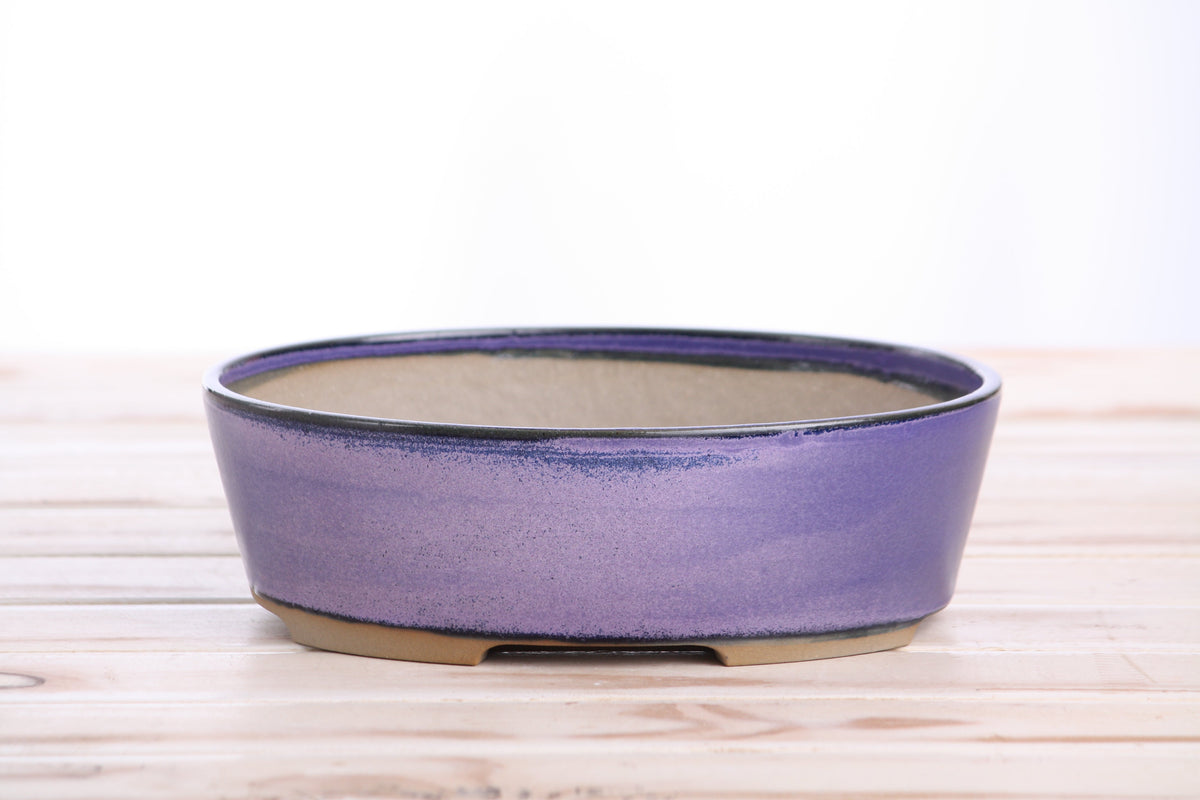 Willow Bonsai Ceramics Oval A Bonsai Pot 8 Inch – Straight‑Sided Oval Ceramic Bonsai & Succulent Planter, High‑Fired Frost‑Proof Stoneware with Drainage & Wiring Holes, Handmade in USA (Purple)