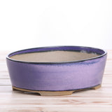 Willow Bonsai Ceramics Oval A Bonsai Pot 8 Inch – Straight‑Sided Oval Ceramic Bonsai & Succulent Planter, High‑Fired Frost‑Proof Stoneware with Drainage & Wiring Holes, Handmade in USA (Purple)