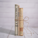 Timeless Treasures Vintage Book Bundle – Neutral Set of 3